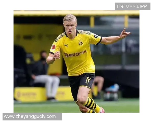 哈兰德：从足球新星到世界顶级前锋的辉煌之路分析